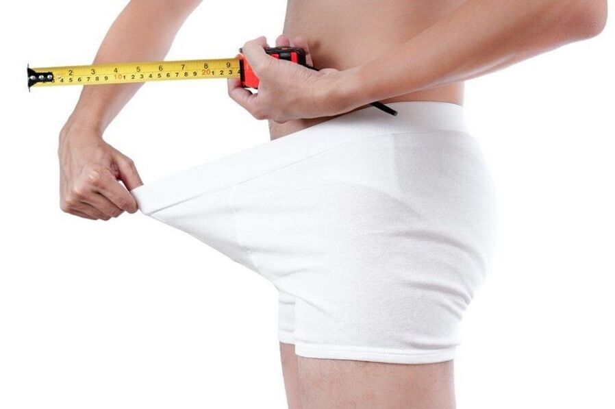 вимірювання пеніса перед вправами для збільшення